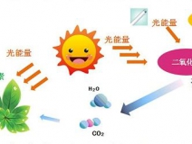 光觸媒產(chǎn)品的評價