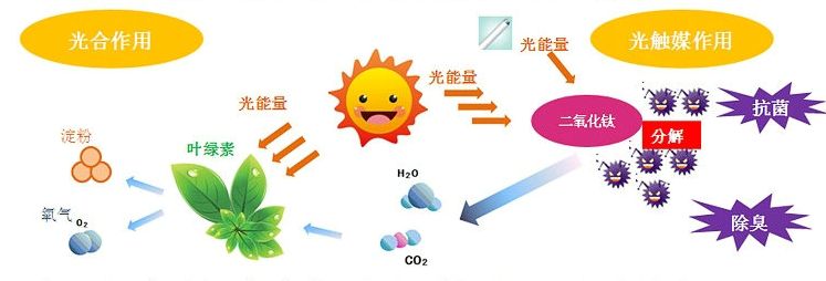 光觸媒去除房間甲醛爭議很大？